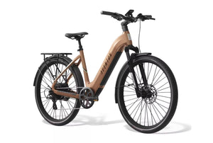Aventon Level 3 Commuter Step-Through E-Bike