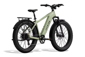 Aventon Aventure 3 E-Bike - Step Over