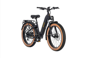 AIMA e-Bikes AIMA Big Sur 26" E-Bike