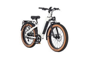 AIMA e-Bikes AIMA Big Sur 26" E-Bike