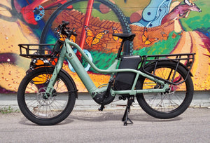 Giant Momentum PakYak at Ottawa Bike And Trail