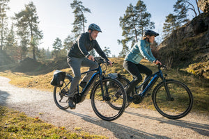 Ottawa Bike and Trail Service e-Bike Test Ride / Consultation