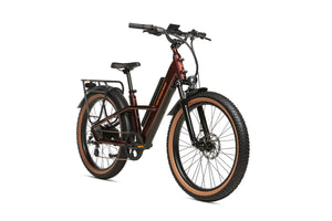Rad Power e-Bikes Rad Power Radster TRAIL E-Bike