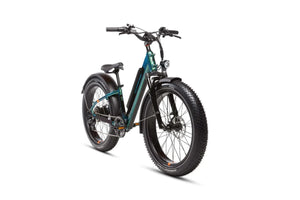 Rad Power e-Bikes Steelhead Green / Step-Thru Rad Power RadRover 6 Plus Fat Tire  E-Bike Step-Through