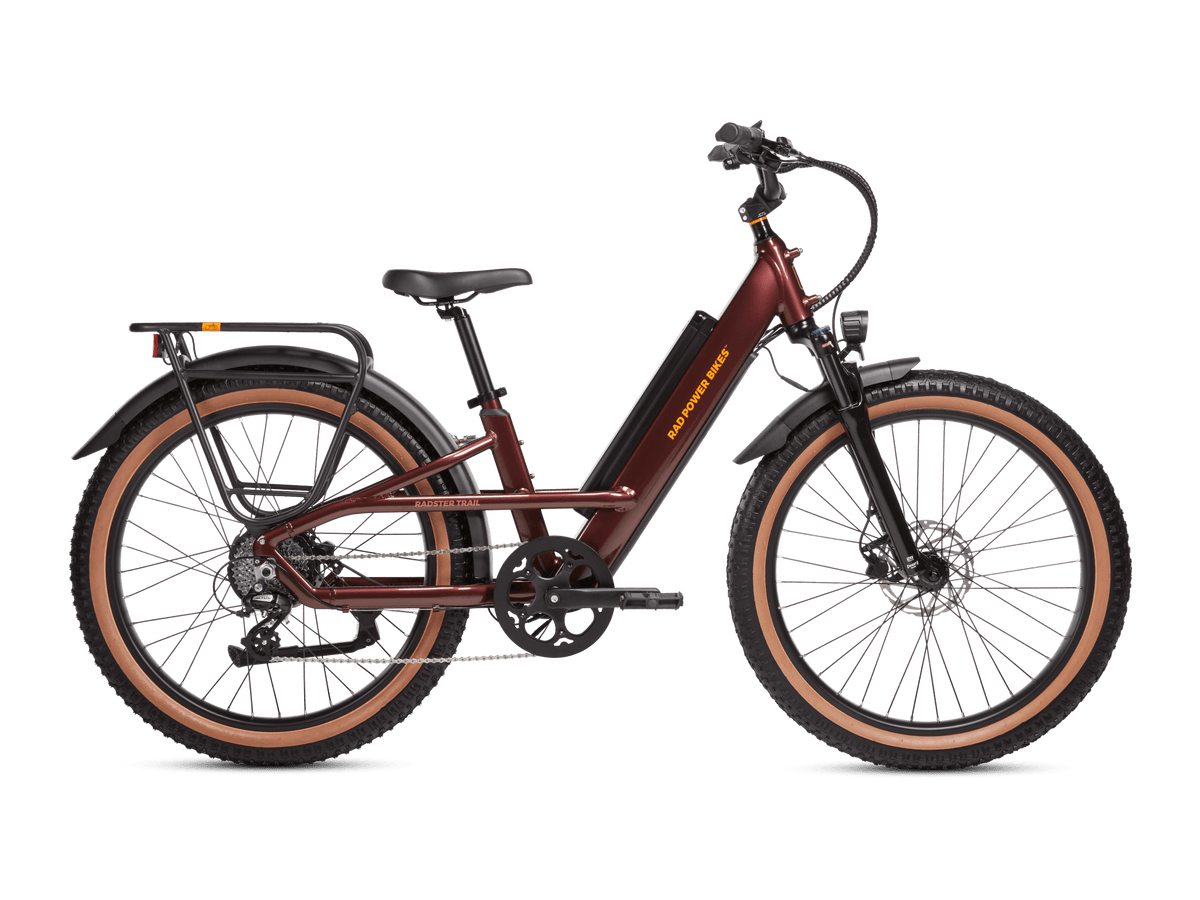 Rad power electric bike sales