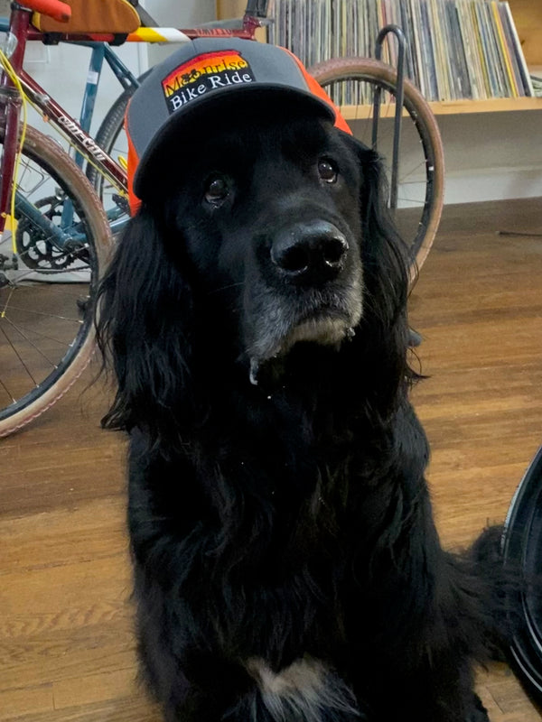Moonrise Bike Ride Merch