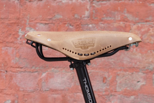 Staff Picks - Saddles