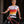 World Champion Jersey