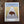 Flint Hills Buffalo Sticker