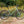 Surly  Grappler