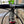 Discord Chromo Peeper Stem