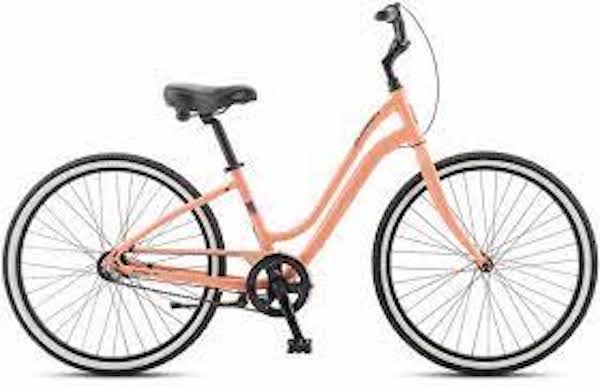 Jamis Earth Cruiser 1