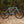 Surly Preamble Flat-Bar
