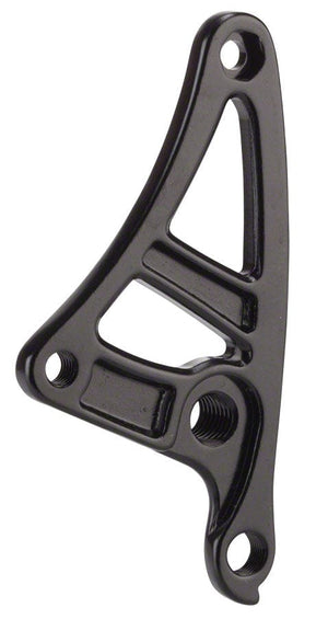 Salsa Alternator 1.0 Plate Right thru-axle M12x1.75 thread pitch Derailleur Hanger 