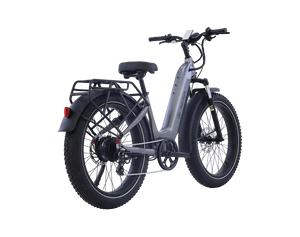 AIMA e-Bikes AIMA Big Sur Sport 2.0 - E-bike - 26" Wheels