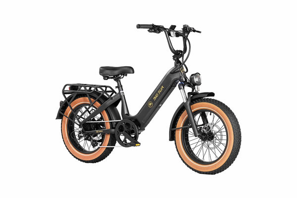 AIMA e-Bikes Matte Black AIMA Big Sur Sport 20" E-BIke