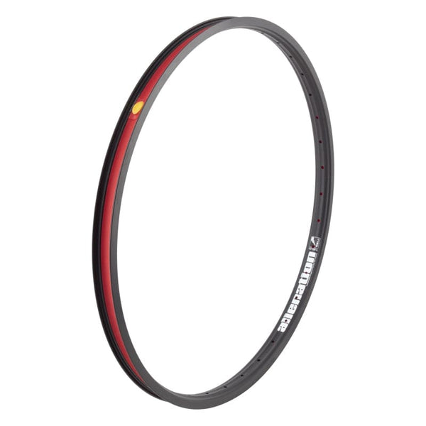 Alienation Rims Alienation Malice TCS 2.0 24in 36H Rim