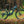 Aventon e-Bikes Aventon Current ADV Full-Suspension E-Bike