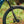 Aventon e-Bikes Aventon Current ADV Full-Suspension E-Bike