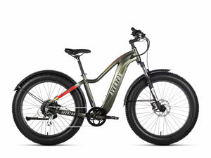 Aventon e-Bikes Camoflague / Regular Aventon Aventure.2 E-Bike