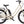 Benno City Ebike Chai Latte Gray Benno eJoy 5i Evo 1 Performance Class 1 Ebike