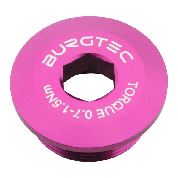 Burgtec Crank Bolts and Parts Purple Rain Burgtec Shimano Crank Bolts