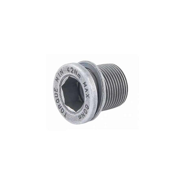 Campagnolo Crank Arm Bolts Campagnolo Ultra Torque Crank bolt For steel UT spindles