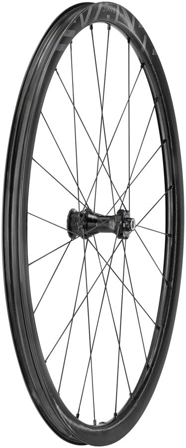 Campagnolo Front Wheel Campagnolo Levante Front Wheel - 700 12 x 100mm CenterLock Black