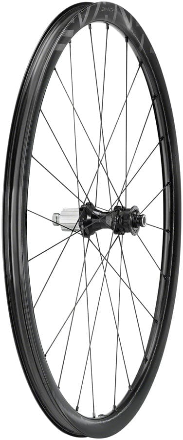 Campagnolo Rear Wheel Campagnolo Levante Rear Wheel - 700 12 x 142mm CenterLock N3W Black