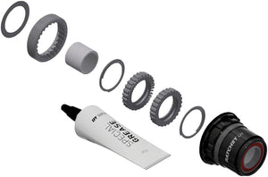 DT Swiss Freehubs DT Swiss Ratchet LN Freehub Body Upgrade Kit - SRAM XD Standard Aluminum Sealed Bearing 36T