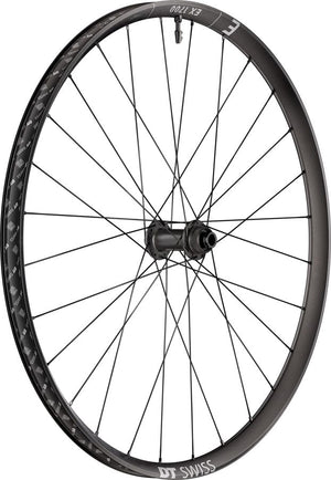 DT Swiss Front Wheel DT Swiss EX 1700 Classic 30 Front Wheel - 29" 15 x 110mm Center-Lock Black
