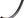 DT Swiss Rims 29