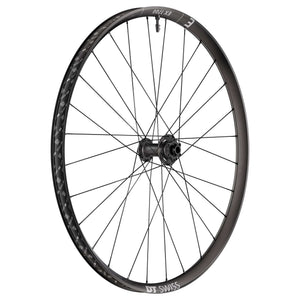 DT Swiss Wheels DT Swiss EX 1700 Classic Front Wheel 29" 15x110
