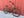 Electra Used Bikes Pre-Owned Electra Townie 7D Step-Over With Fenders and Dyno Lights