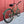 Electra Used Bikes Pre-Owned Electra Townie 7D Step-Over With Fenders and Dyno Lights