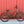 Electra Used Bikes Pre-Owned Electra Townie 7D Step-Over With Fenders and Dyno Lights