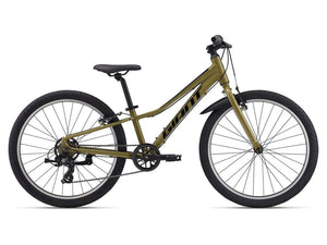 Giant Kids Dried Herb Giant Talon 24 Lite