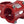 Hope Stems 35Mm / Red Hope AM/Freeride Stem