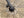 Jamis Gravel Adventure Jamis Renegade S2