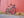 Jamis Gravel Adventure Jamis Renegade S2 Apex (Copy)