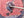 Jamis Gravel Adventure Jamis Renegade S2 Apex (Copy)