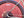 Jamis Gravel Adventure Jamis Renegade S2 Apex (Copy)