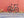 Jamis Gravel Adventure Jamis Renegade S2 Apex (Copy)