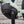 Liv e-Bikes LIV Rove E+