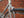 Ottawa Bike and Trail, LLC Road Bikes Rivendell Roaduno Complete Bike 2024 - 54.5 cm