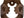 Portland Design Works Water Bottle Cages Brown Portland Design Works Otter Water Bottle Cage