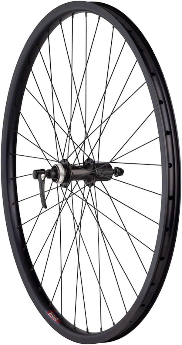 Quality Wheels Wheels Quality Wheels Rear Wheel Clydesdale XL Centerlock Disc Brake 700c 135mm QR Shimano Deore / Velocity Cliffhanger Black