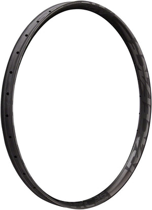 RaceFace Rims Arc 36 RaceFace ARC 31 Rim - 29" Disc Black 32H