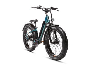 Rad Power e-Bikes Rad Power RadRover 6  Fat Tire  E-Bike Step-Through