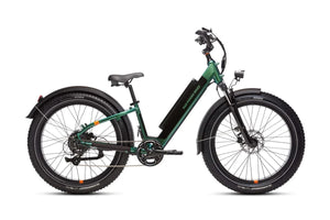 Rad Power e-Bikes Steelhead Green / Step-Thru Rad Power RadRover 6 Plus Fat Tire  E-Bike Step-Through
